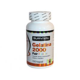 Survival Gelatina 2000 Fair Power 150 tbl